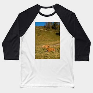 Italian Alpine Cows Baseball T-Shirt